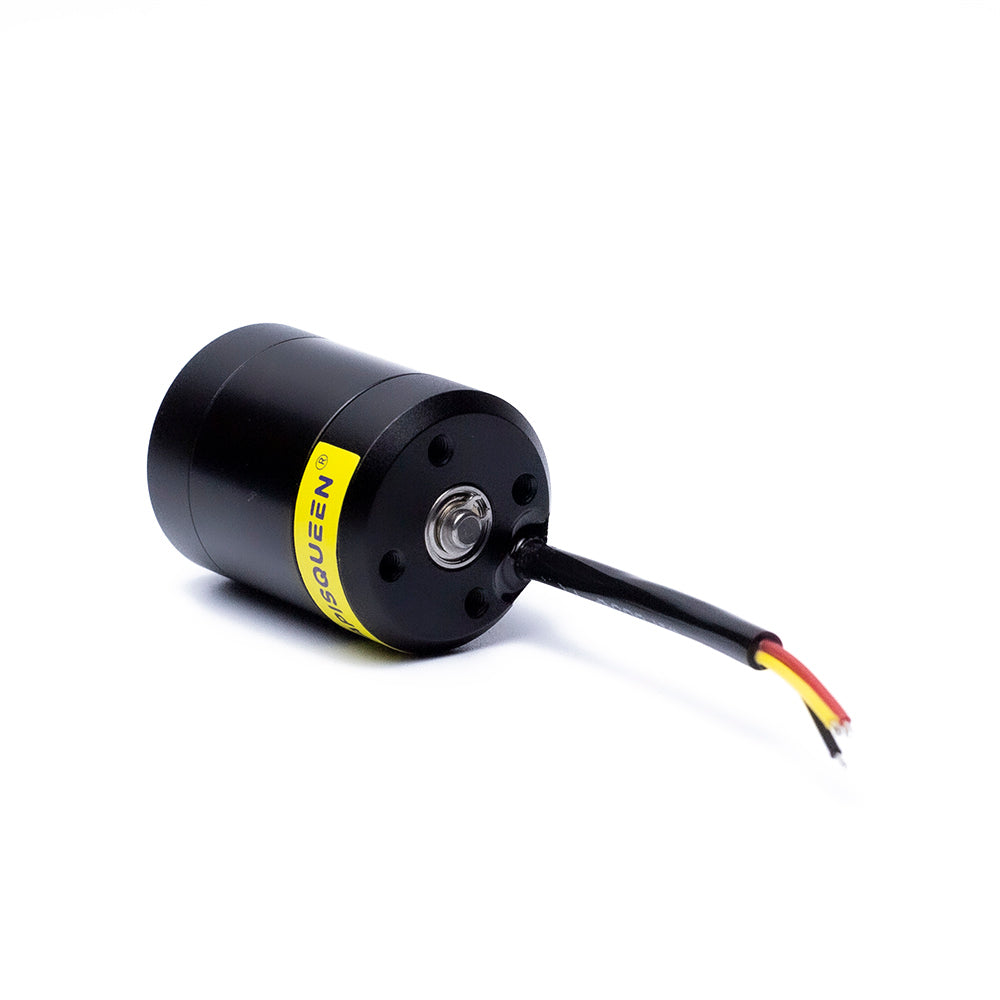 APISQUEEN 12-16V(3-4S LiPo) 2828 500kv bürstenloser wasserdichter Motor für Rv/Boot/Roboter/Paddleboards