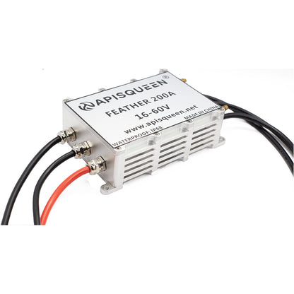 APISQUEEN 16-60V High pressure brushless 200a ESC for hydrofoils/underwater propellers/brushless motors.